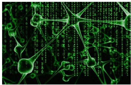 1532401251117997.png 1.png