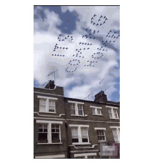 1533008210118561.jpg 2.jpg