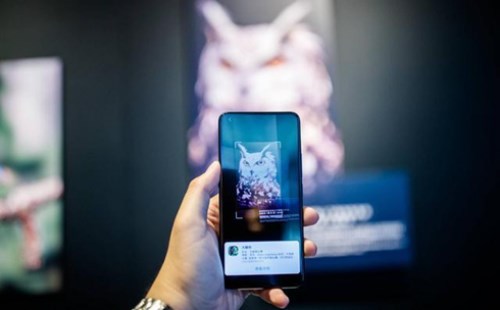 1533367396646595.jpg 1.jpg