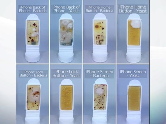 35%的人從不清洗手機(jī)，相當(dāng)于天天把臉貼馬桶墊上